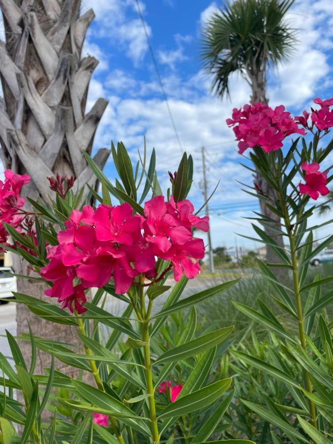 House 3 Blocks To The Beach Panama City Beach Εξωτερικό φωτογραφία